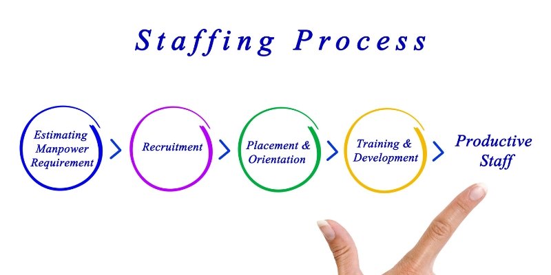 Curriculum Development and Staffing